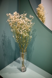 Schleierkraut, weiß - Strauß 5 Stk. - Trockenblumen