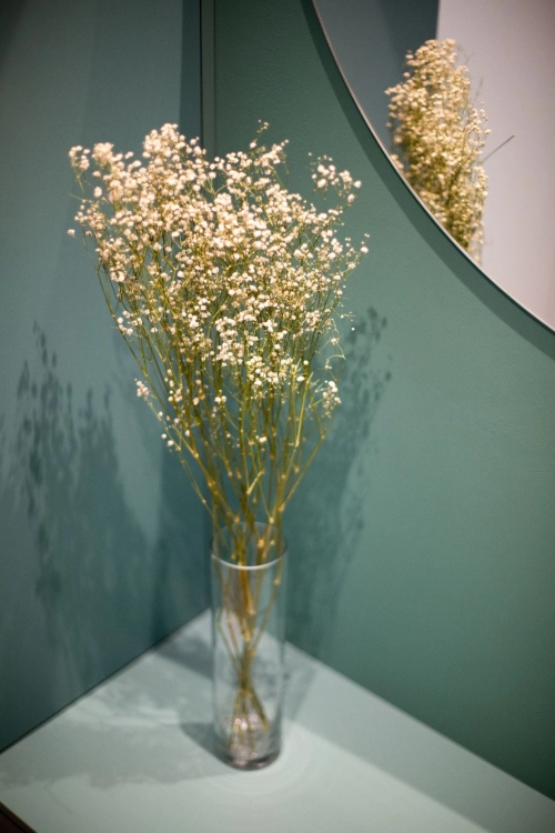 Schleierkraut, weiß - Strauß 5 Stk. - Trockenblumen