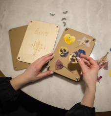 Prasa do suszenia roślin