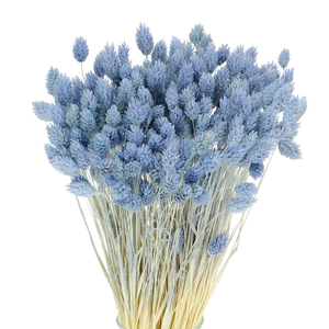 Niebieskie kwiaty suszone