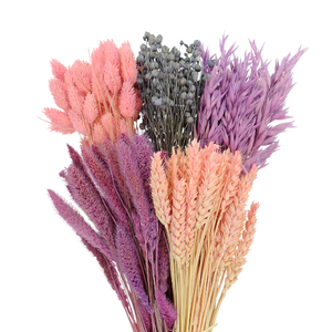 Dyed dried flowers