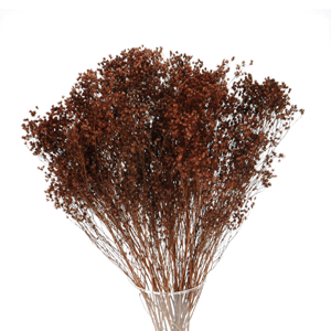 Brązowe kwiaty suszone    