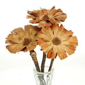 Naturalne kwiaty suszone     