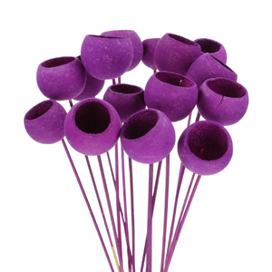  Fioletowe kwiaty suszone