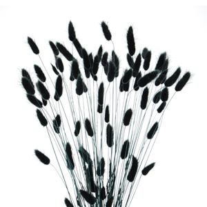 Czarne i szare kwiaty suszone     