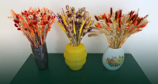 Dried flowers sets