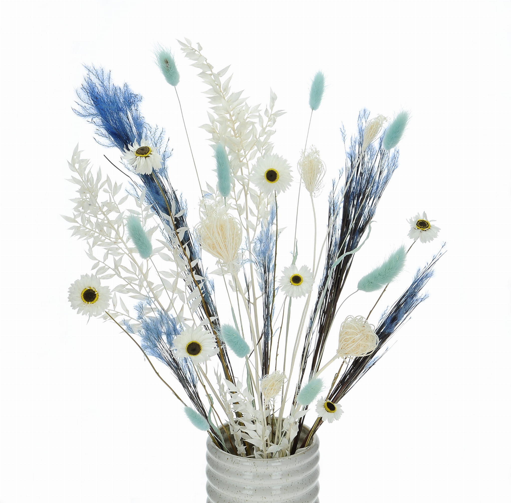 Set von Trockenblumen für Vase - Ruscus, Lagurus, Acroclinium, Fenchel, Ziergras