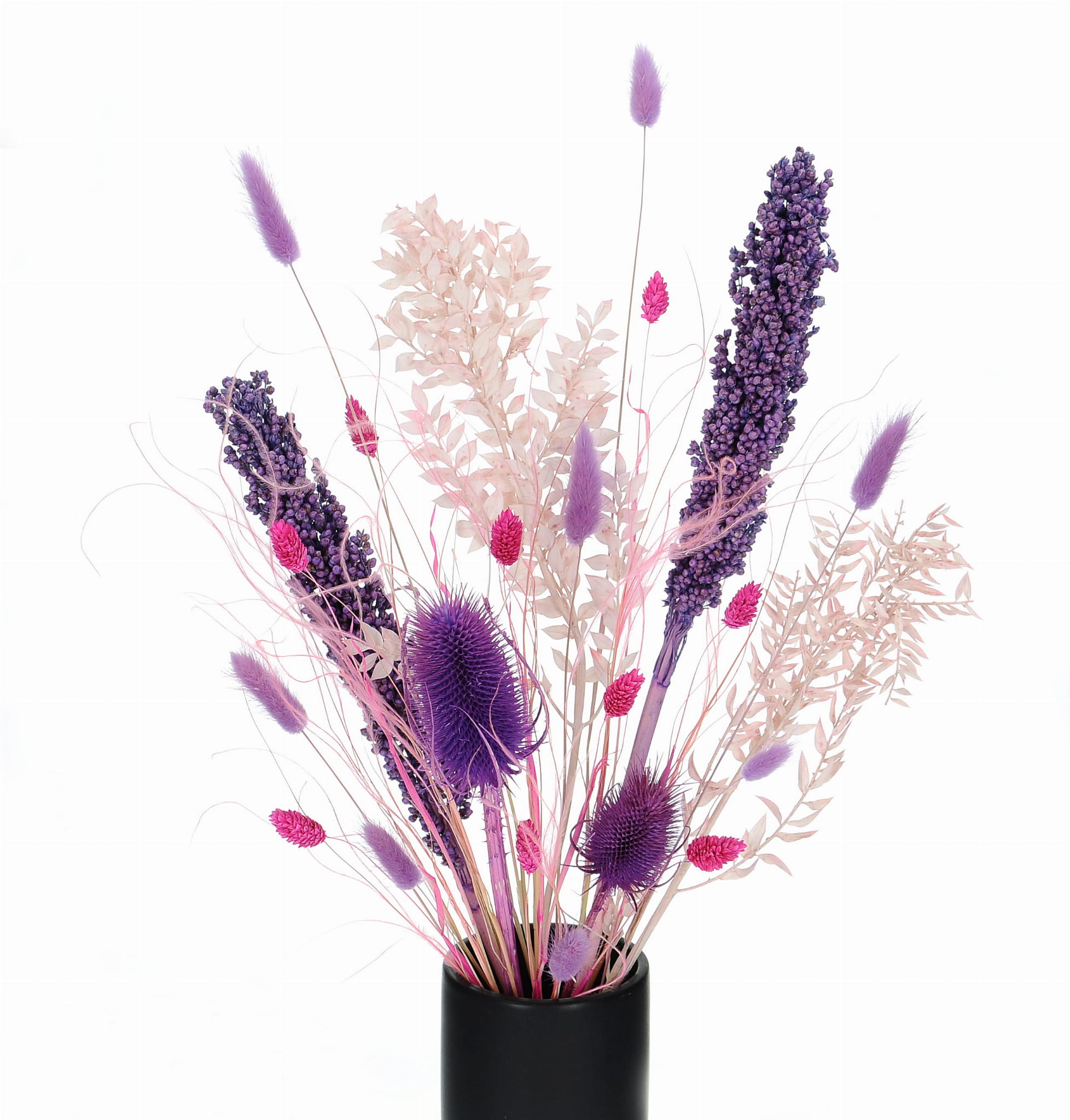 Set von Trockenblumen für Vase - Ruscus, Sorghum, Distel, Phalaris, Lagurus, Stipa