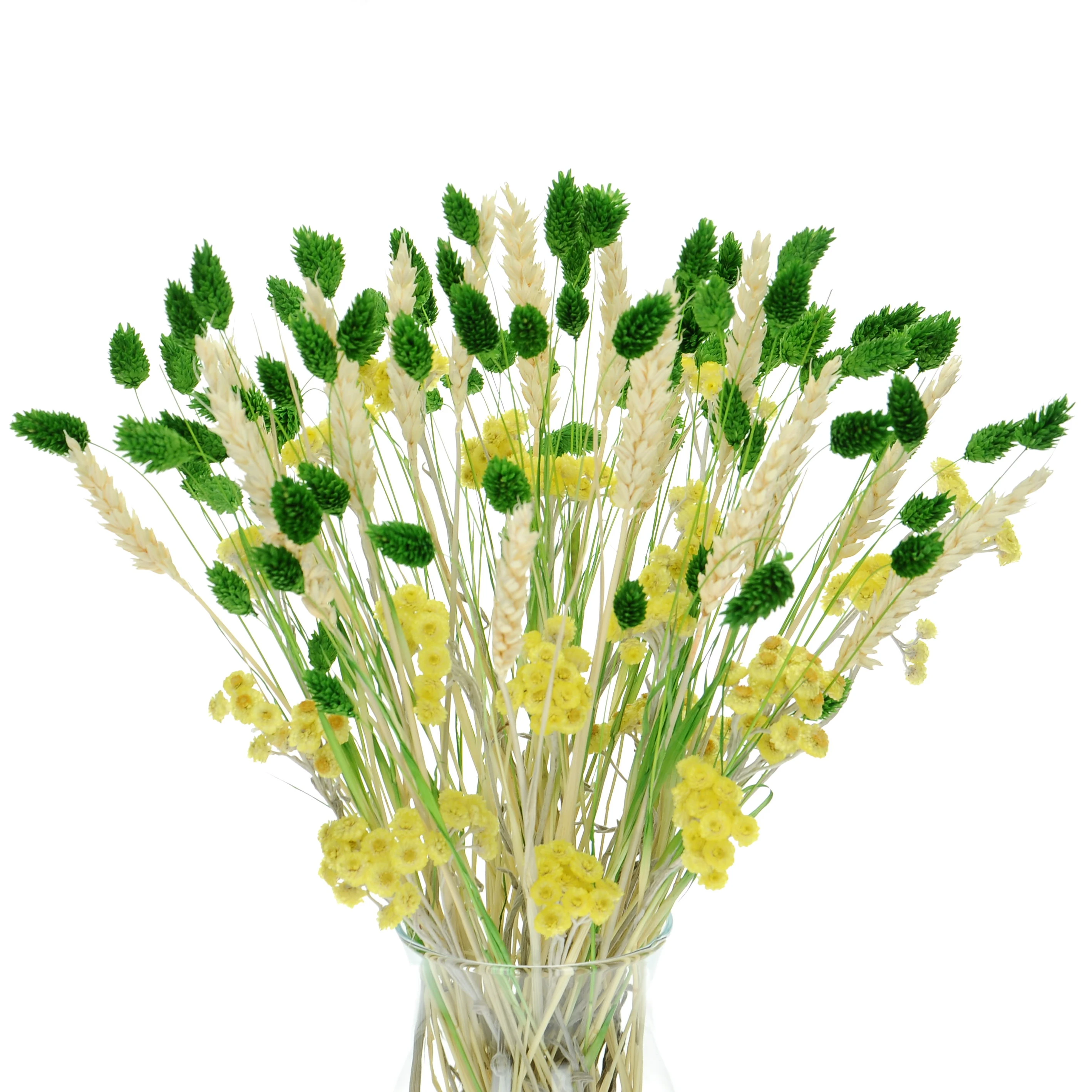 Set von Trockenblumen für Vase - Phalaris, Strohblumen, Weizen