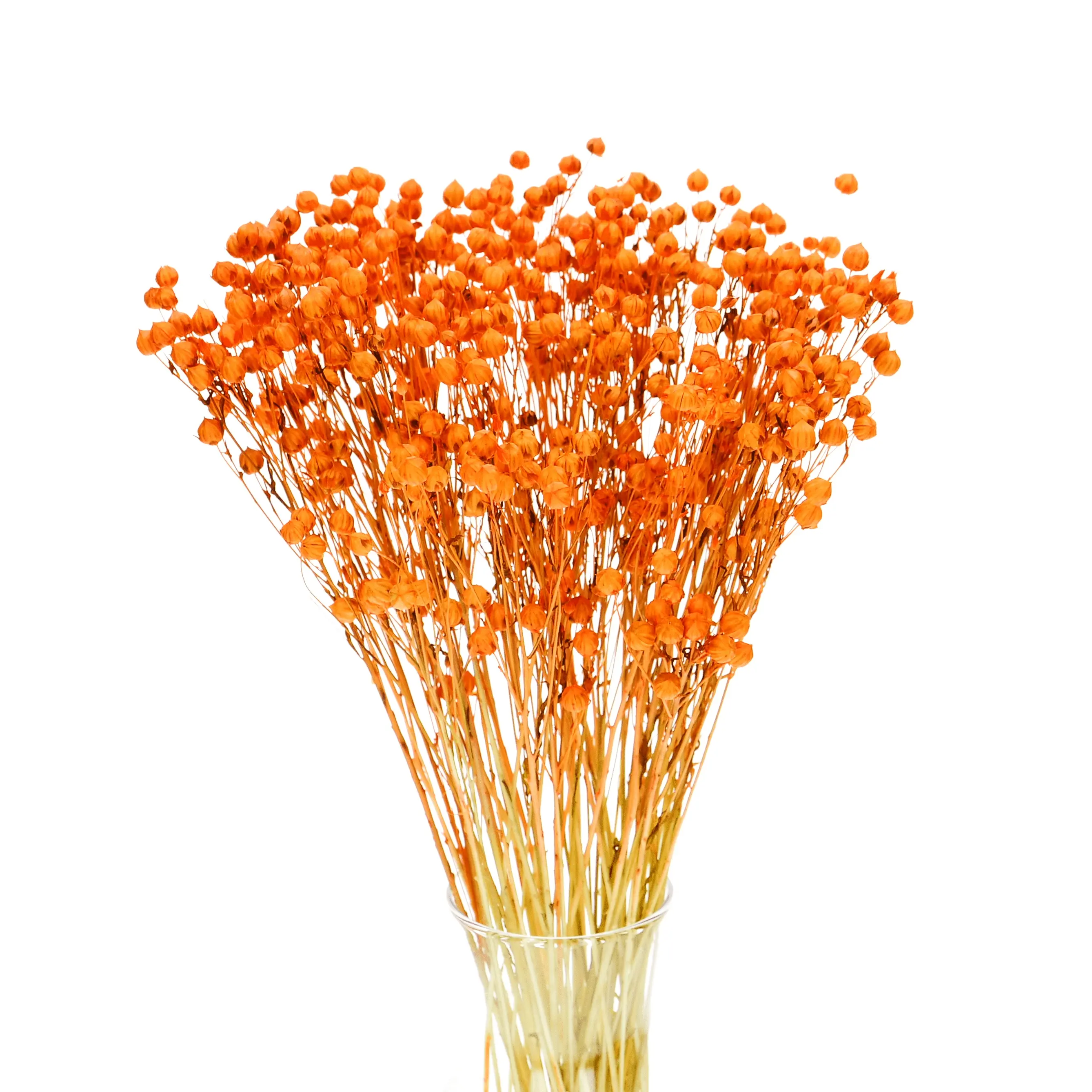Suszony len pomarańczowy - bukiet - suszone kwiaty