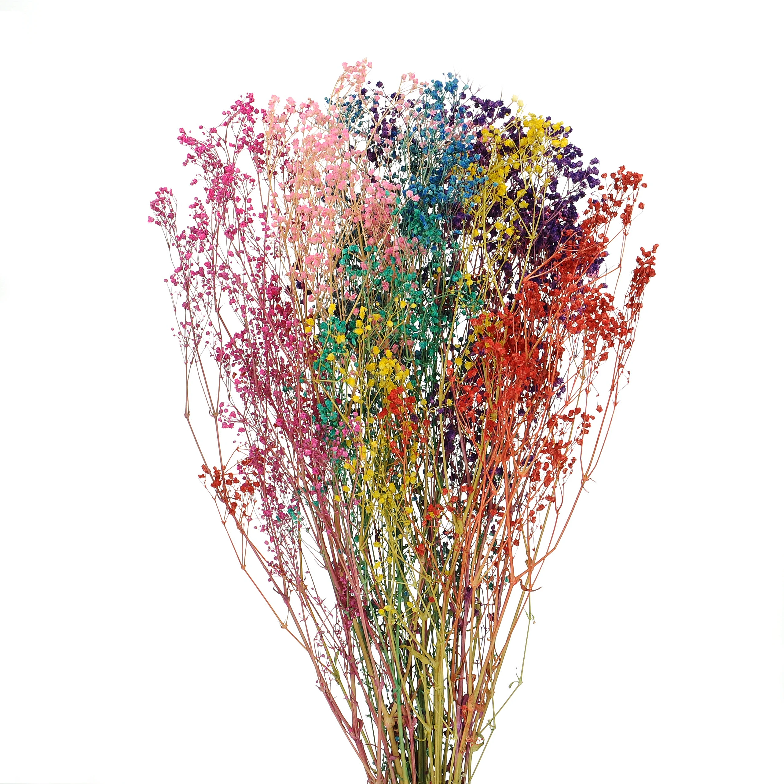 Stabilizowana gipsówka kolorowa, tęczowa - bukiet - suszone kwiaty